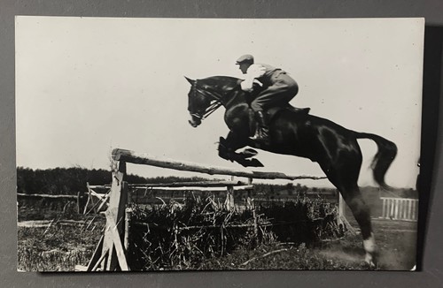 Carte photo cheval - photo,
