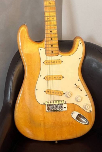 Fernandes guitare - [fernandes],