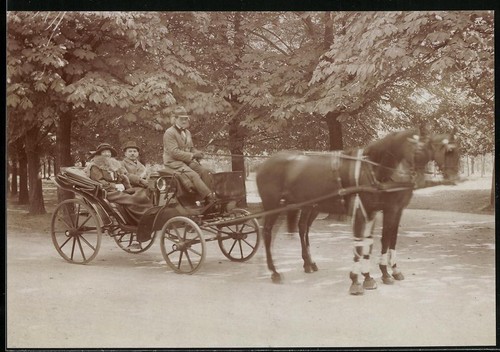 Photographie calèche avec