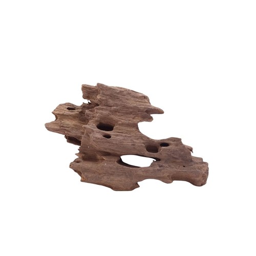 Aquaone racine mangrove en - de,