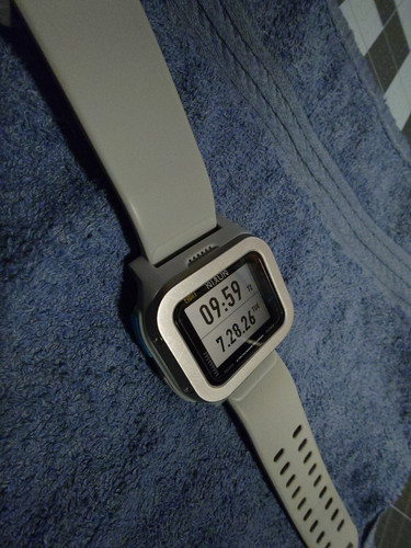 Nixon regulus expedition - regulus, off
