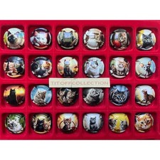 la série de 24 capsules de champagne génériques chats (avril 2025)