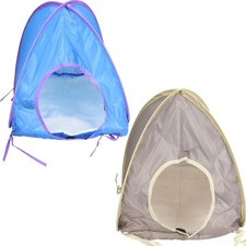 Petits animaux cochon d'Inde