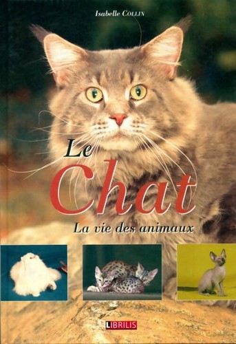 Chat isabelle collin - chat,
