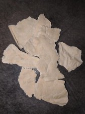 Morceau de levain bio - 50 grs  souche 14 ans très active