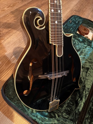 Bourgeois M5-F black top f-