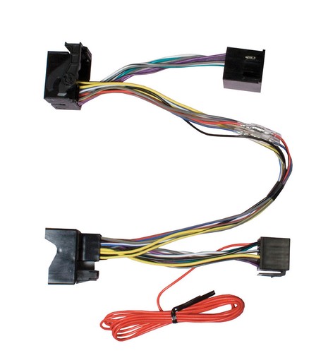 Parrot thb burry - parrot, mains