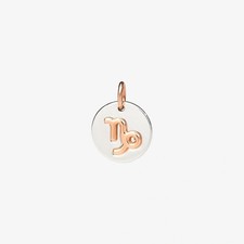 Pendentif charme DODO