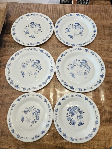 Assiettes plates arcopalet - 4,