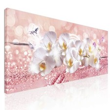 Cadre Botanique Fleurs D'Orchidées Blanches Sur Fond Rose , bow16 tableau impres