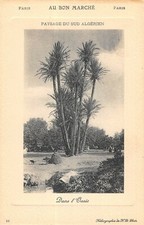 CPA ALGERIE PAYSAGE DU SUD ALGERIEN DANS L'OASIS AU BON MARCHE