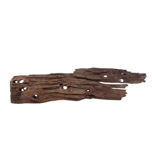 Honey peigne racine 2982 - l,