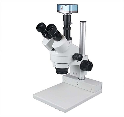 Radical 100mm 50x - radical,