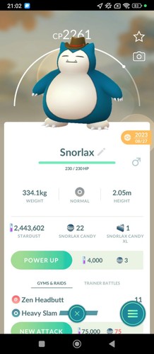 Snorlax cowboy hat - hat, shiny