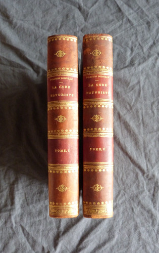 Gaston durville la cure - gaston,