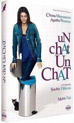 Chat dvd neuf - chat,