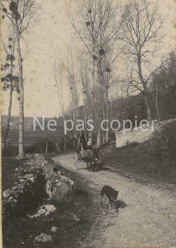 Poitiers vers 1880 - vers, carriole