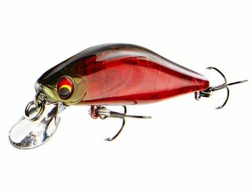 Daiwa tournament wise - daiwa,