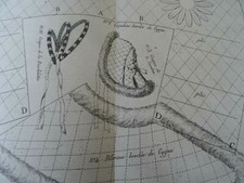 N° 17  ANCIEN PATRON LA POUPEE MODELE  CAPELINE FEVRIER   1866