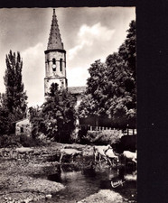 SOUEICH (31) BOVINS à