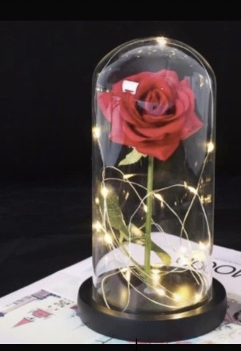 Rose eternelle sous cloche - rose,