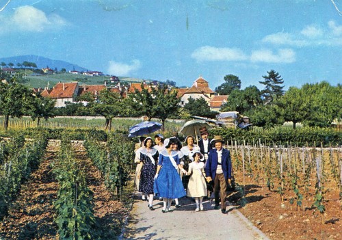 Suisse groupe chanson - suisse,