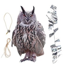 Décor de hibou contrôle des