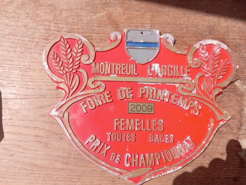 Grande plaque concours - grande,