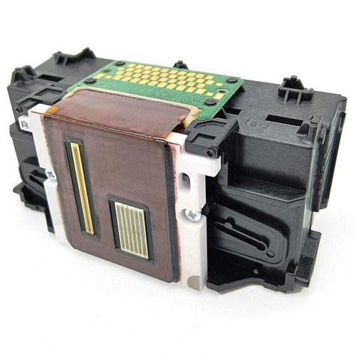 Qy6 0089 tête - qy6-0089,