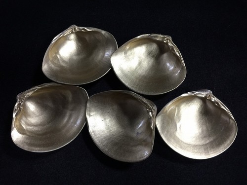 P1033 coquillages bivalves - p1033,