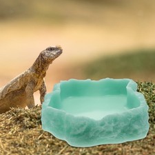 Bol lumineux pour reptiles