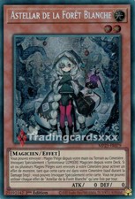 Yu-Gi-Oh! Astellar de la Forêt Blanche : PSE MP25-FR079