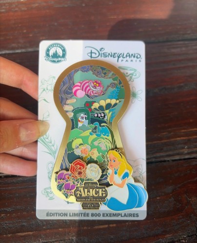 Pin 800 alice pays - pin's, el
