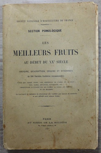 Les meilleurs fruits début - les, au