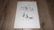 Planche dessin Pierre Joubert
