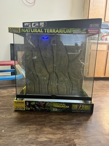 Large natural terrarium tall - terrarium, x-tall