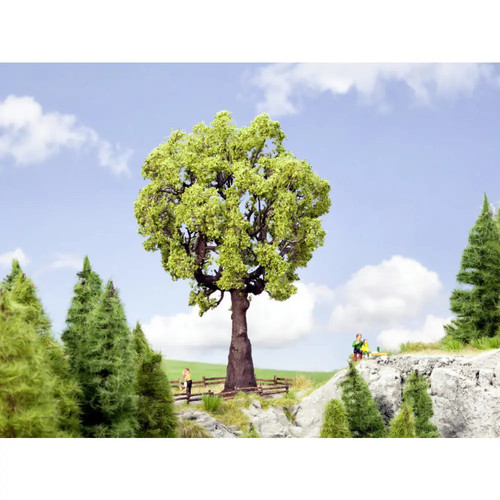 Arbre chêne noch 0021761 - chêne, 190