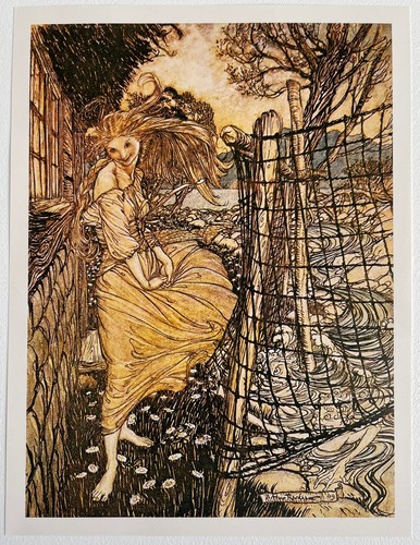 Arthur rackham ondine - rackham,