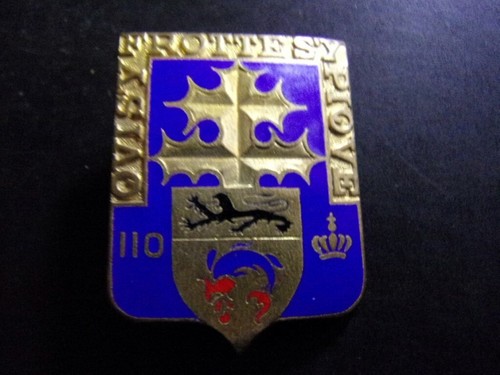 Infanterie 110 - ri, 110°