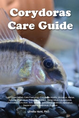 Sheila hunt corydoras - hunt,