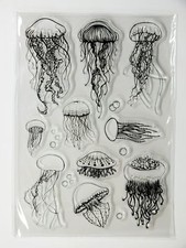 Tampons silicone transparent