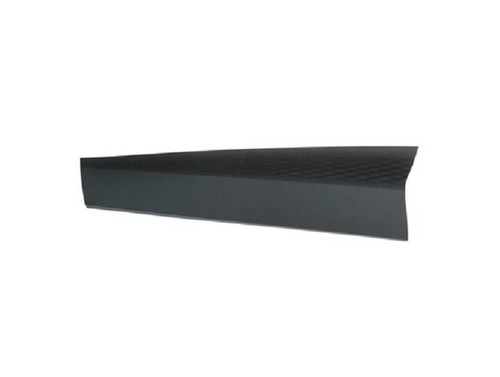 Moulure porte avant gauche