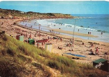 17  L ILE D OLERON LES PLAGES DE DOMINO ET SABLES VIGNIER