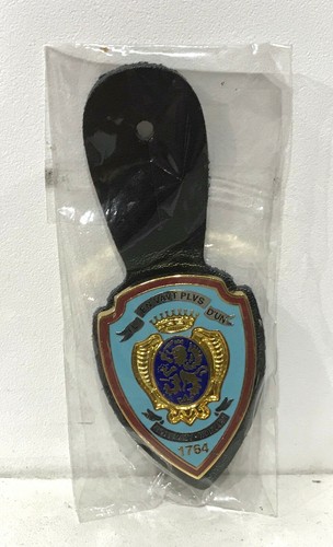 Médaille broche pucelle - médaille,, broche,