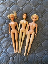 Poupées clone de Barbie.