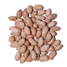 Agrarshop Arachide light skin 25 kg nourriture pour oiseaux hivernaux mésanges