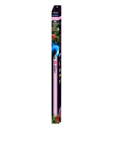 Tube néon aquavie - néon, t8