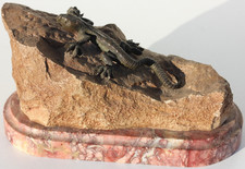 BRONZE ANCIEN SUR SOCLE DE MARBRE - LEZARD SUR SON ROCHER - H. 11 cm - 3400 g
