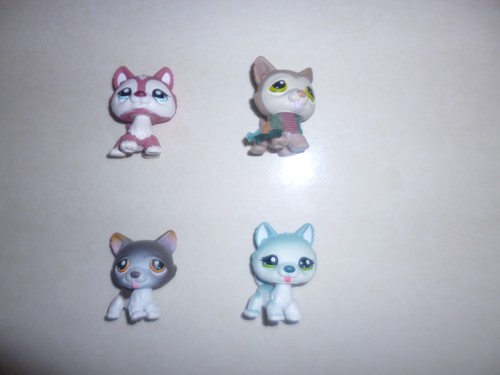 Littlest pet shop authentic - littlest,