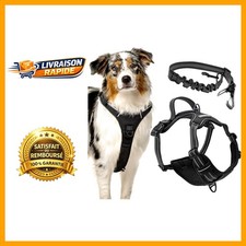 Harnais Anti-Traction pour